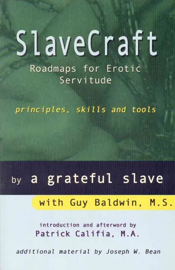 Cover of Slave Craft