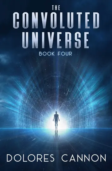 Cover of The Convoluted Universe Book IV