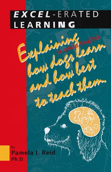 Cover of Excel-Erated Learning