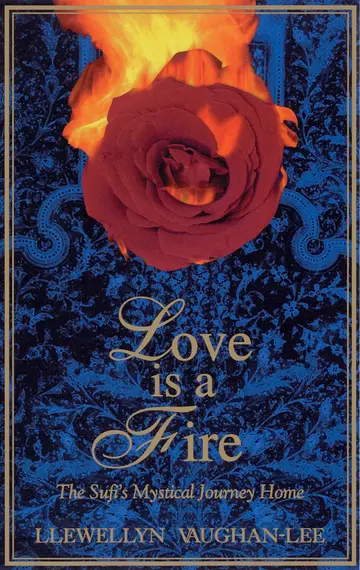 Cover of Love Is a Fire
