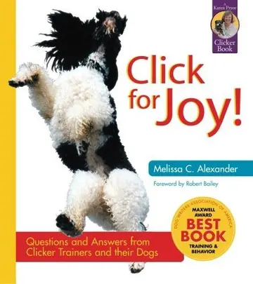 Cover of Click for Joy