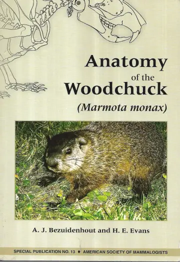 Cover of Anatomy of a Woodchuck
