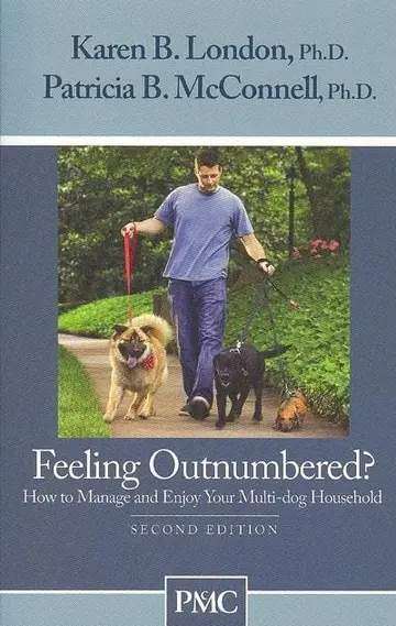Cover of Feeling Outnumbered?