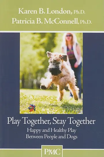 Cover of Play Together, Stay Together