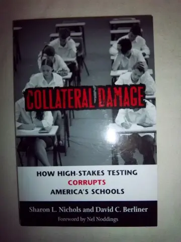 Cover of Collateral Damage