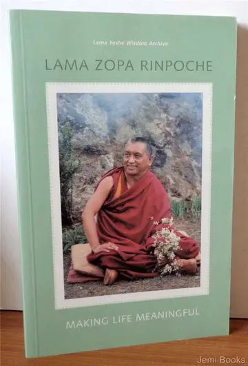 Cover of Making Life Meaningful