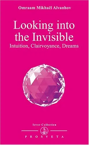 Cover of Looking into the Invisible