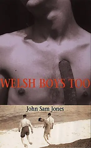 Cover of Welsh Boys Too!