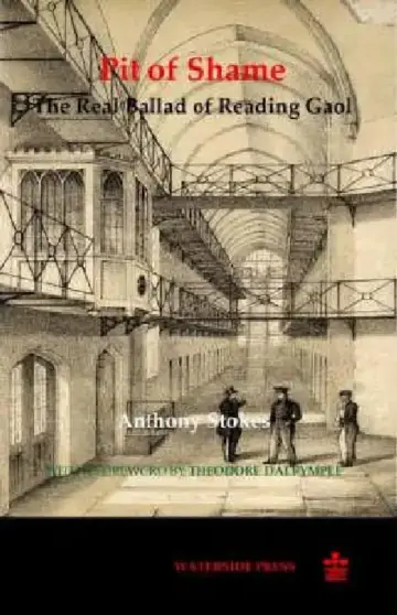 Cover of Pit of Shame