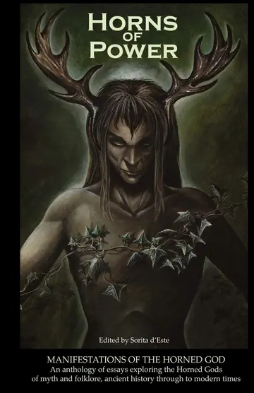 Cover of Horns of Power