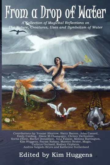 Cover of From a Drop of Water