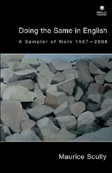 Cover of Doing the Same in English