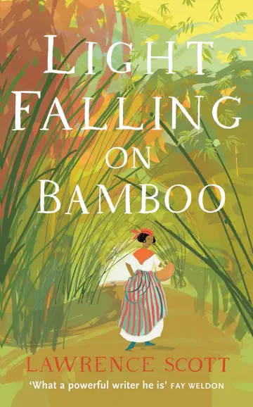 Cover of Light Falling on Bamboo