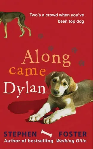 Cover of Along Came Dylan