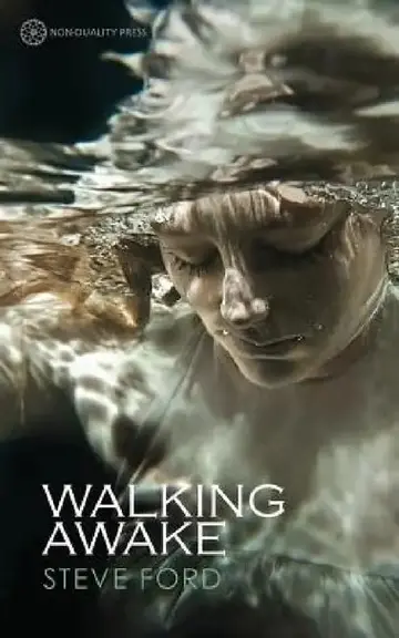 Cover of Walking Awake