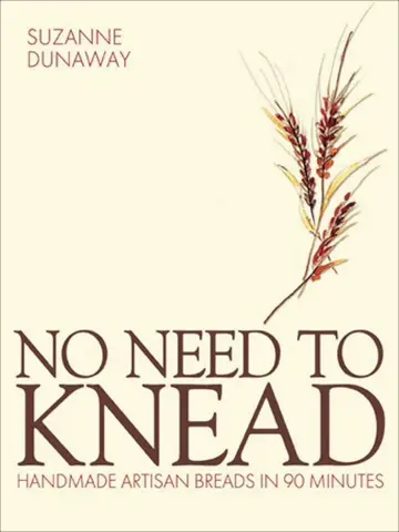 Cover of No Need to Knead