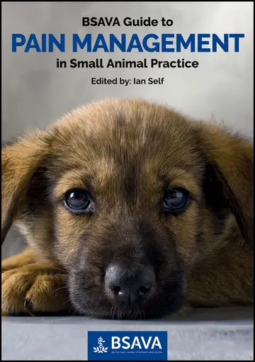 Cover of Bsava Guide to Pain Management in Small Animal Practice