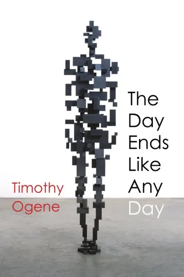 Cover of The Day Ends Like Any Day