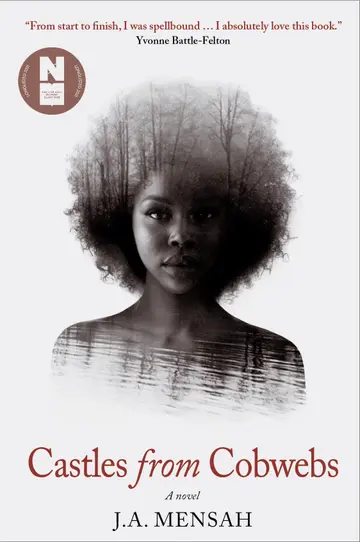 Cover of Castles from Cobwebs