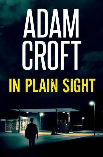 Cover of In Plain Sight