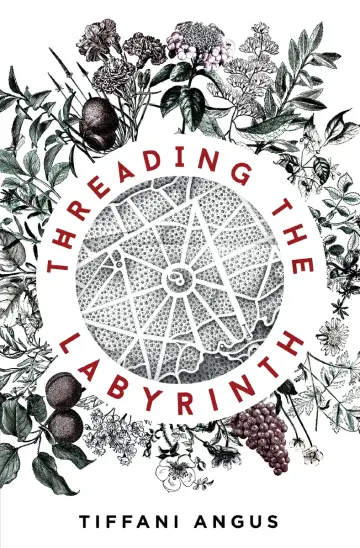 Cover of Threading the Labyrinth