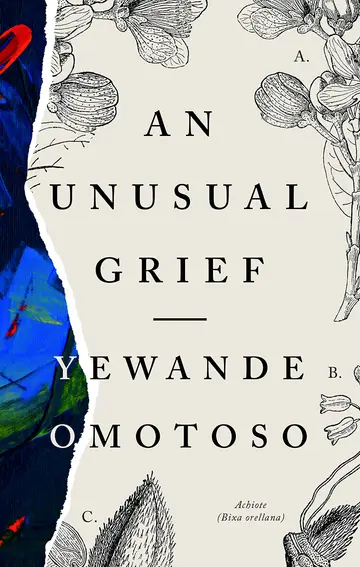 Cover of Unusual Grief