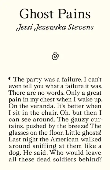 Cover of Ghost Pains