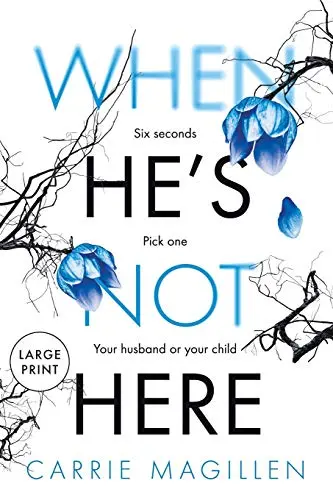 Cover of When He's Not Here