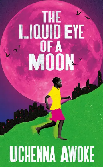 Cover of The Liquid Eye of a Moon