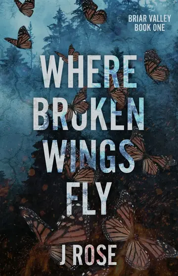 Cover of Where Broken Wings Fly
