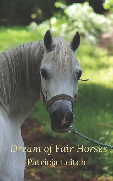 Cover of Dream of Fair Horses