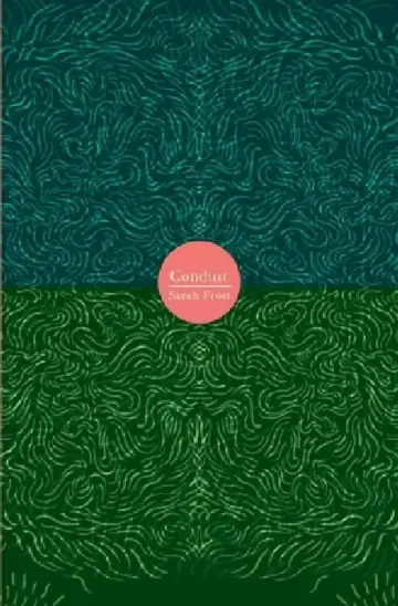 Cover of Conduit