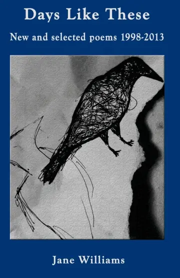 Cover of Days Like These