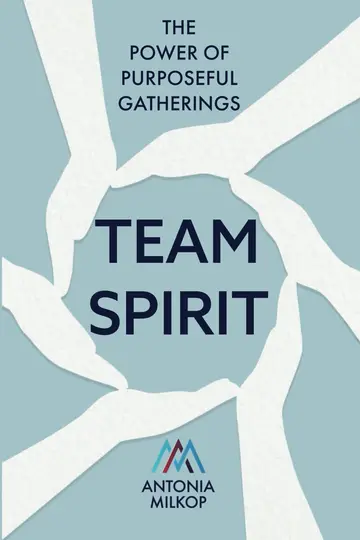 Cover of Team Spirit