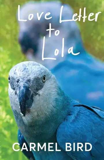 Cover of Love Letter to Lola