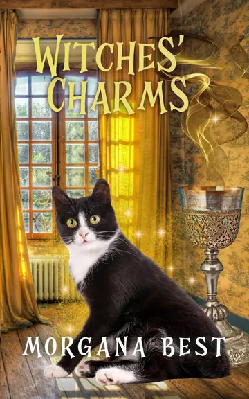 Cover of Witches' Charms