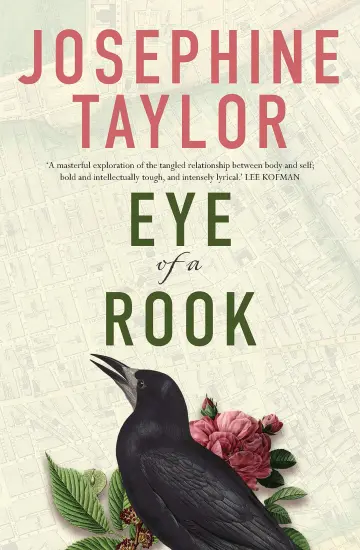 Cover of Eye of a Rook