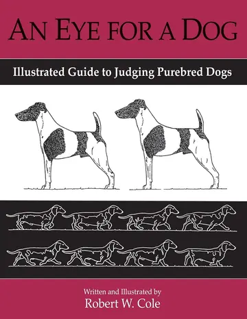 Cover of An Eye for a Dog
