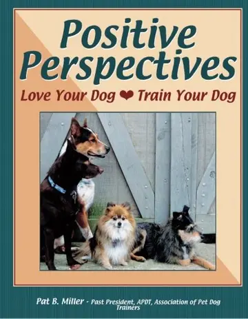 Cover of Positive Perspectives