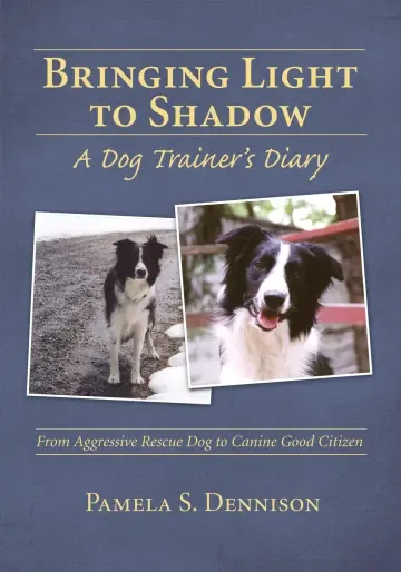 Cover of Bringing Light to Shadow