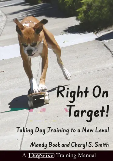 Cover of Right on Target