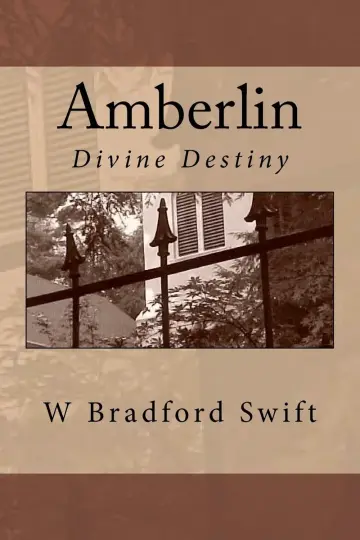 Cover of Amberlin