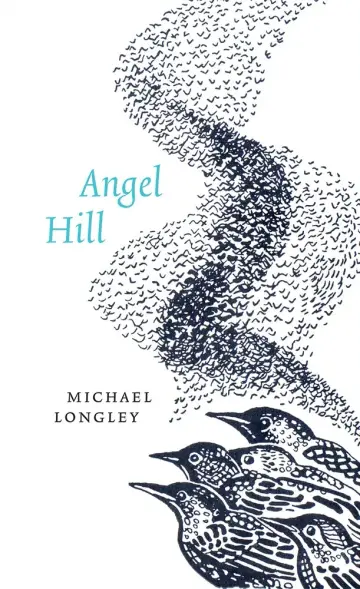Cover of Angel Hill