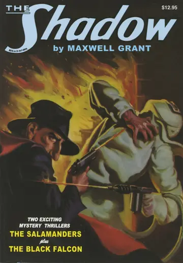 Cover of The Black Falcon and the Salamanders