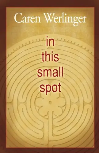 Cover of In This Small Spot