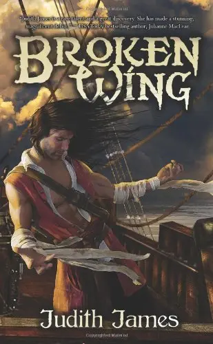 Cover of Broken Wing