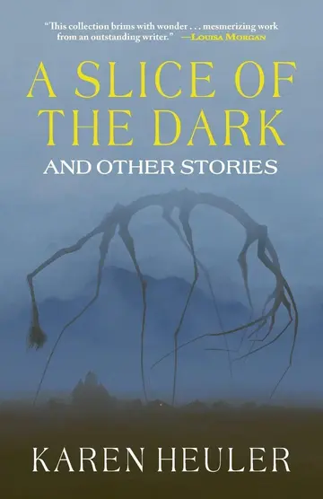 Cover of A Slice of the Dark and Other Stories