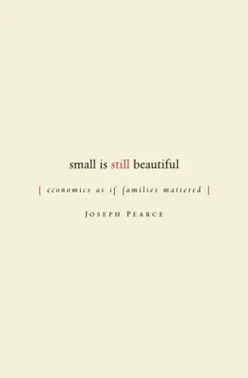 Cover of Small Is Still Beautiful