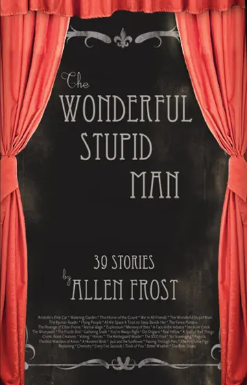 Cover of The Wonderful Stupid Man