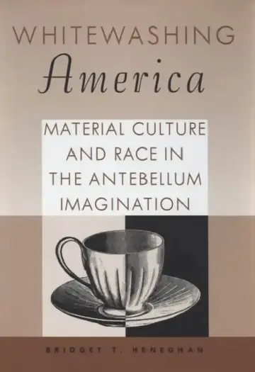 Cover of Whitewashing America
